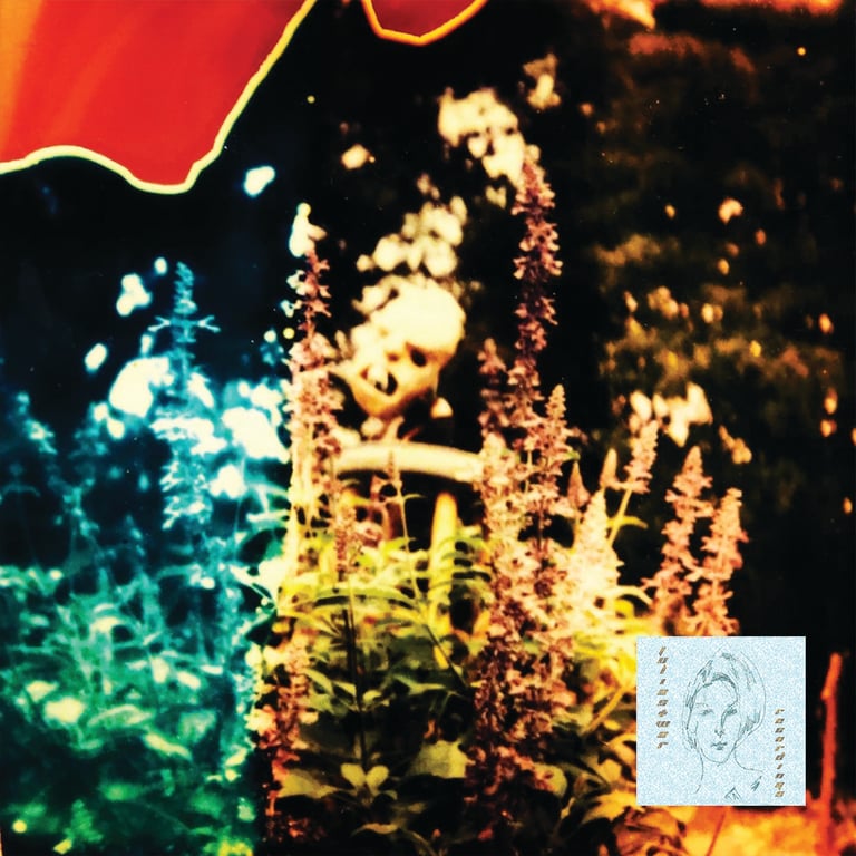 Roach Friends (Cassette)