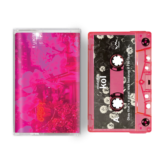 Okay that’s a great idea because if I do that then (Cassette)